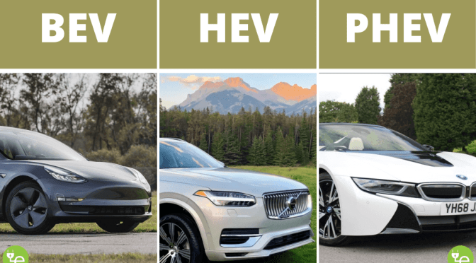 Car Hunting (part 4)