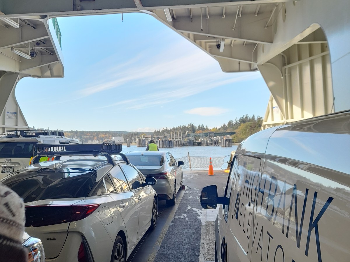 Gallery: Down by the Water