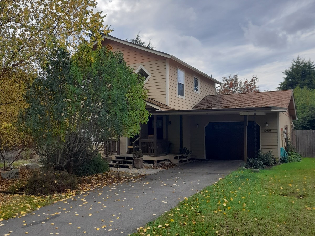 On Walkabout: Eddy Street